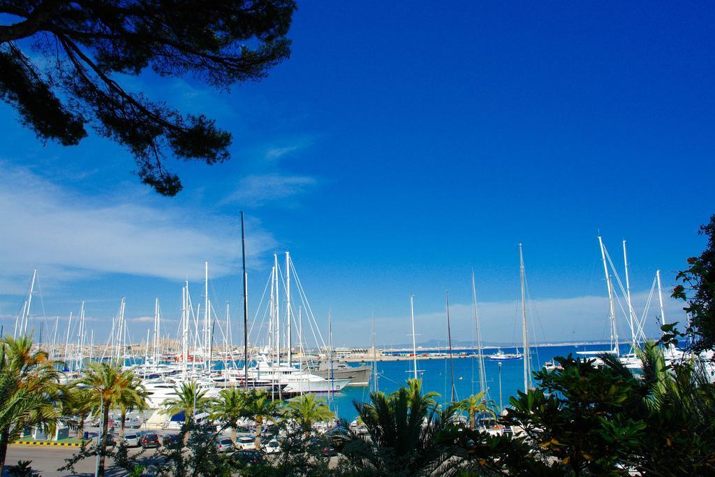 Ca'n Perlita Villa Palma de Mallorca Bagian luar foto