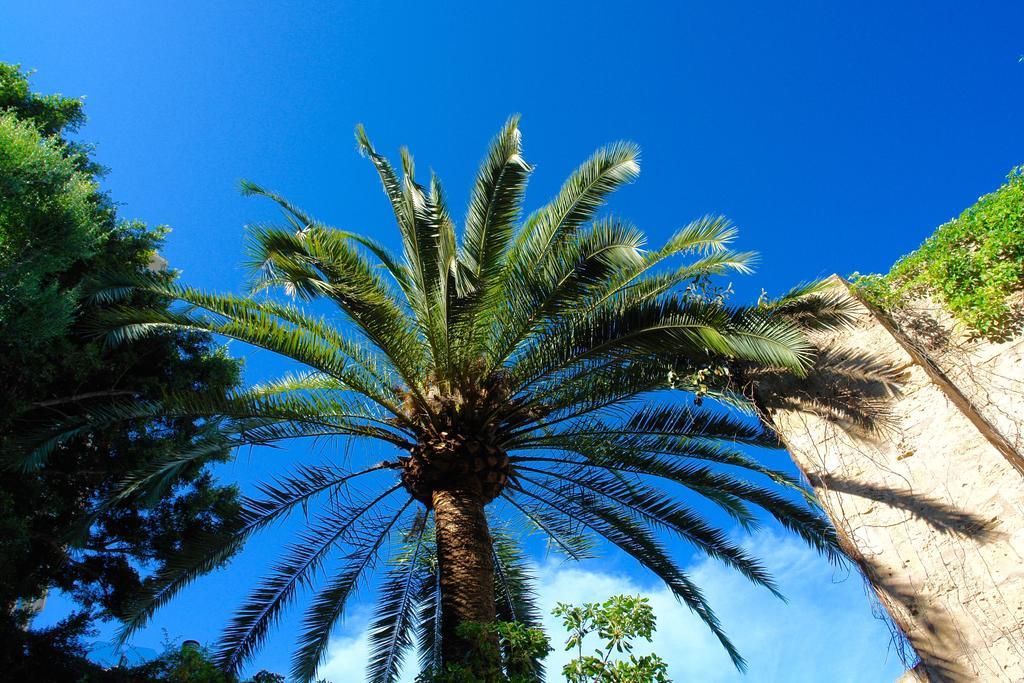 Ca'n Perlita Villa Palma de Mallorca Bagian luar foto